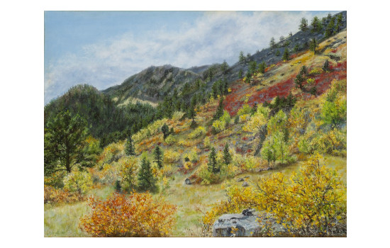 Eldorado Sumac | 18″ x 24″ | $600